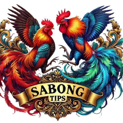 3JL Sabong : Introduction to Sabong Betting Online at 3JL 1 sabong